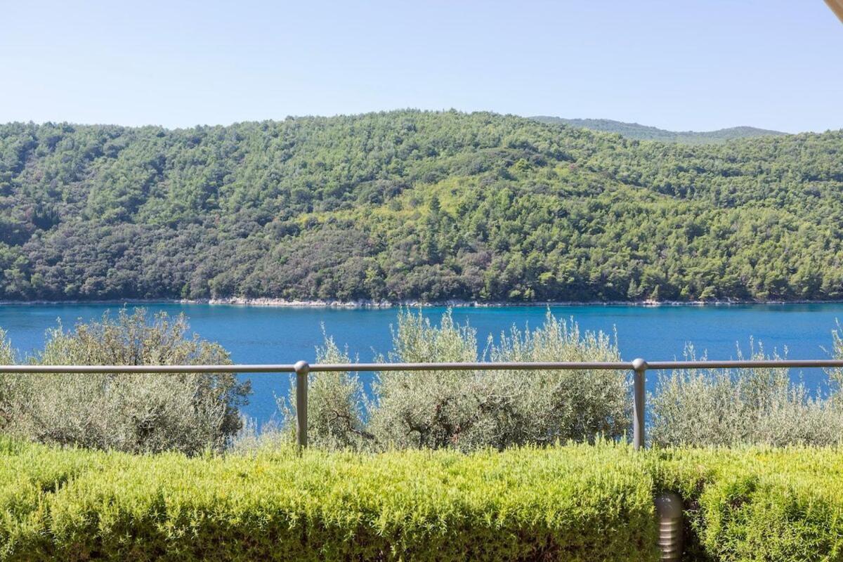 Istria Sea Side Apartment 210 & 209 Labin  Rum bild
