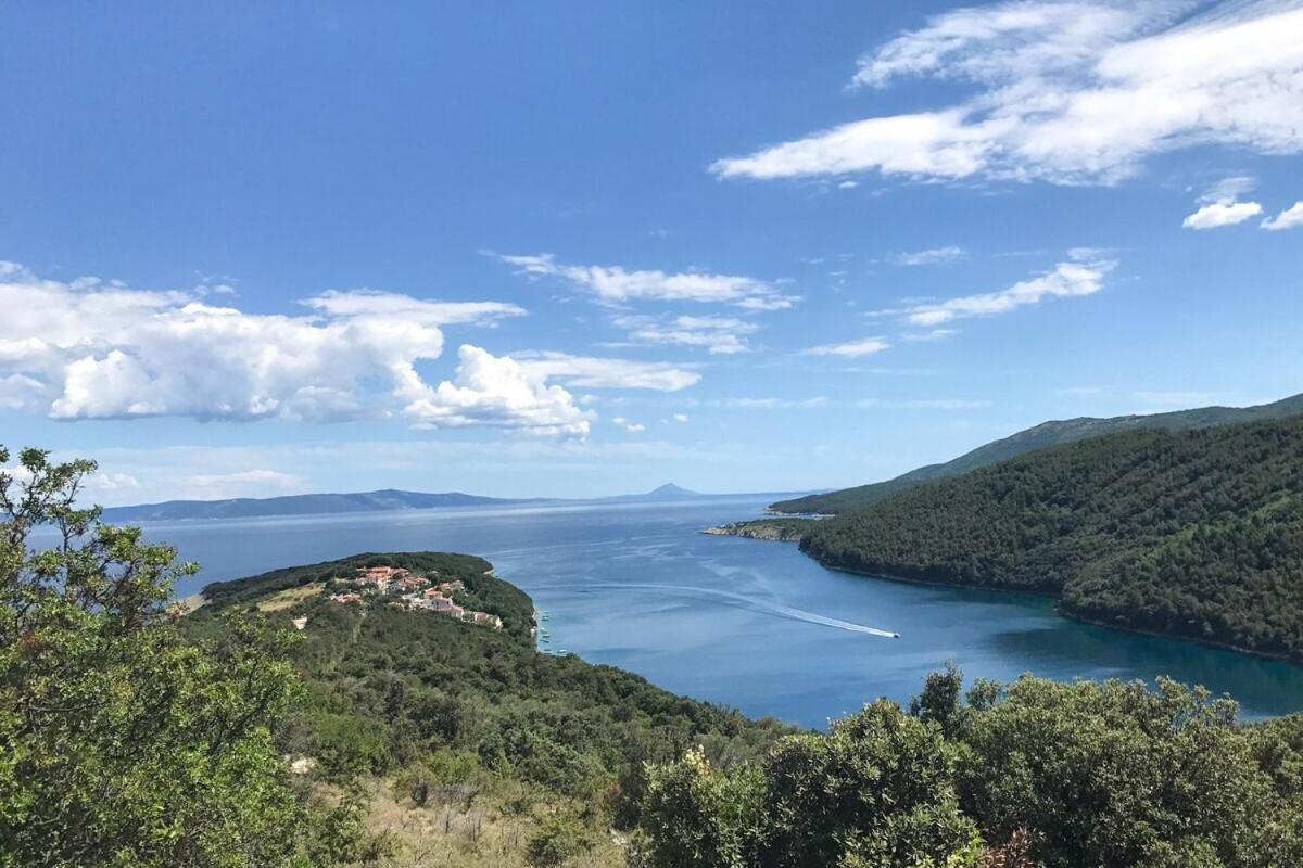 Istria Sea Side Apartment 210 & 209 Labin  Rum bild